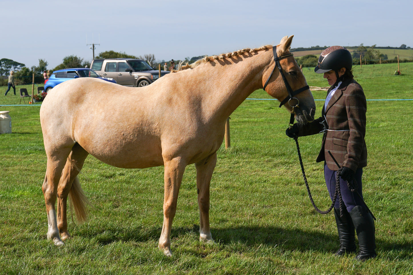 lanlivery show in hand part 2