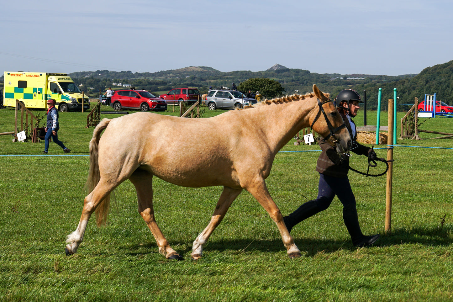lanlivery show in hand part 2