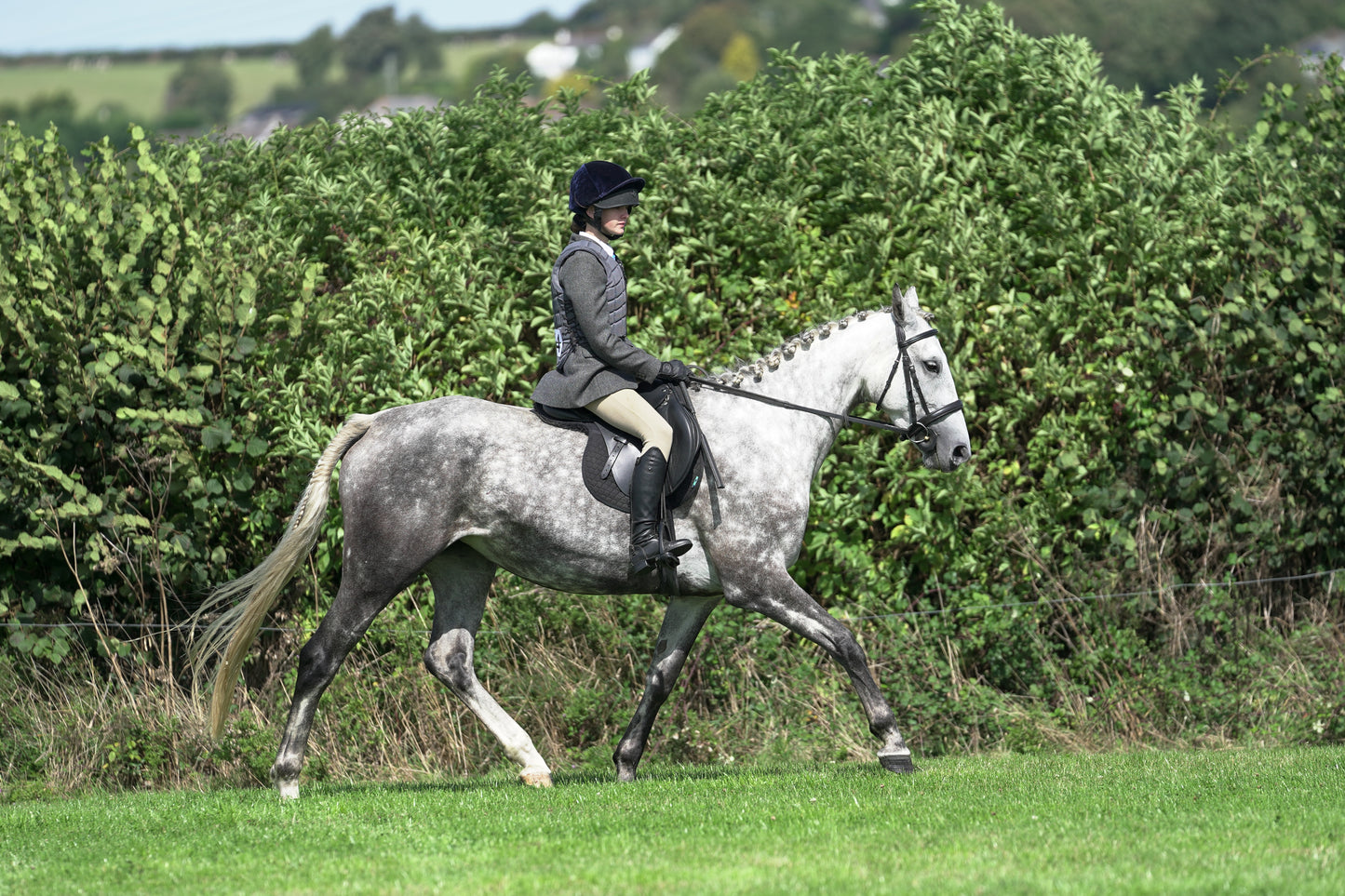 lanlivery show jumping rings part 2
