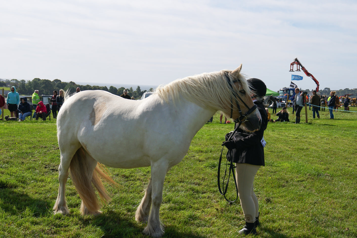 lanlivery show in hand part 2