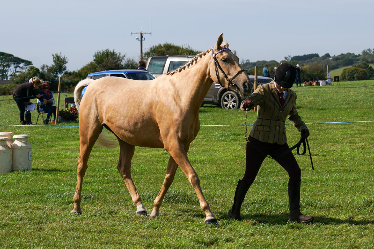 lanlivery show in hand part 2