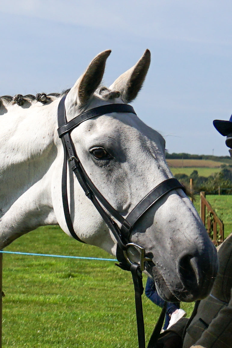 lanlivery show in hand part 2
