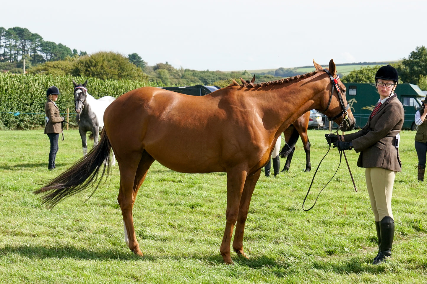 lanlivery show in hand part 2