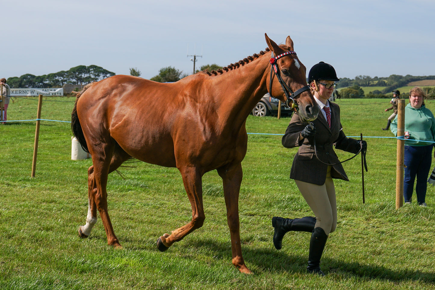 lanlivery show in hand part 2