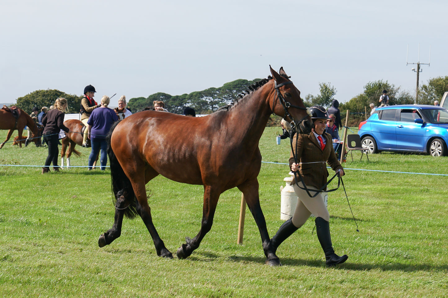 lanlivery show in hand part 2