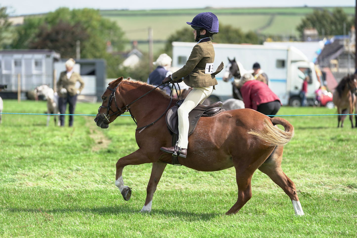 lanlivery show jumping rings part 2