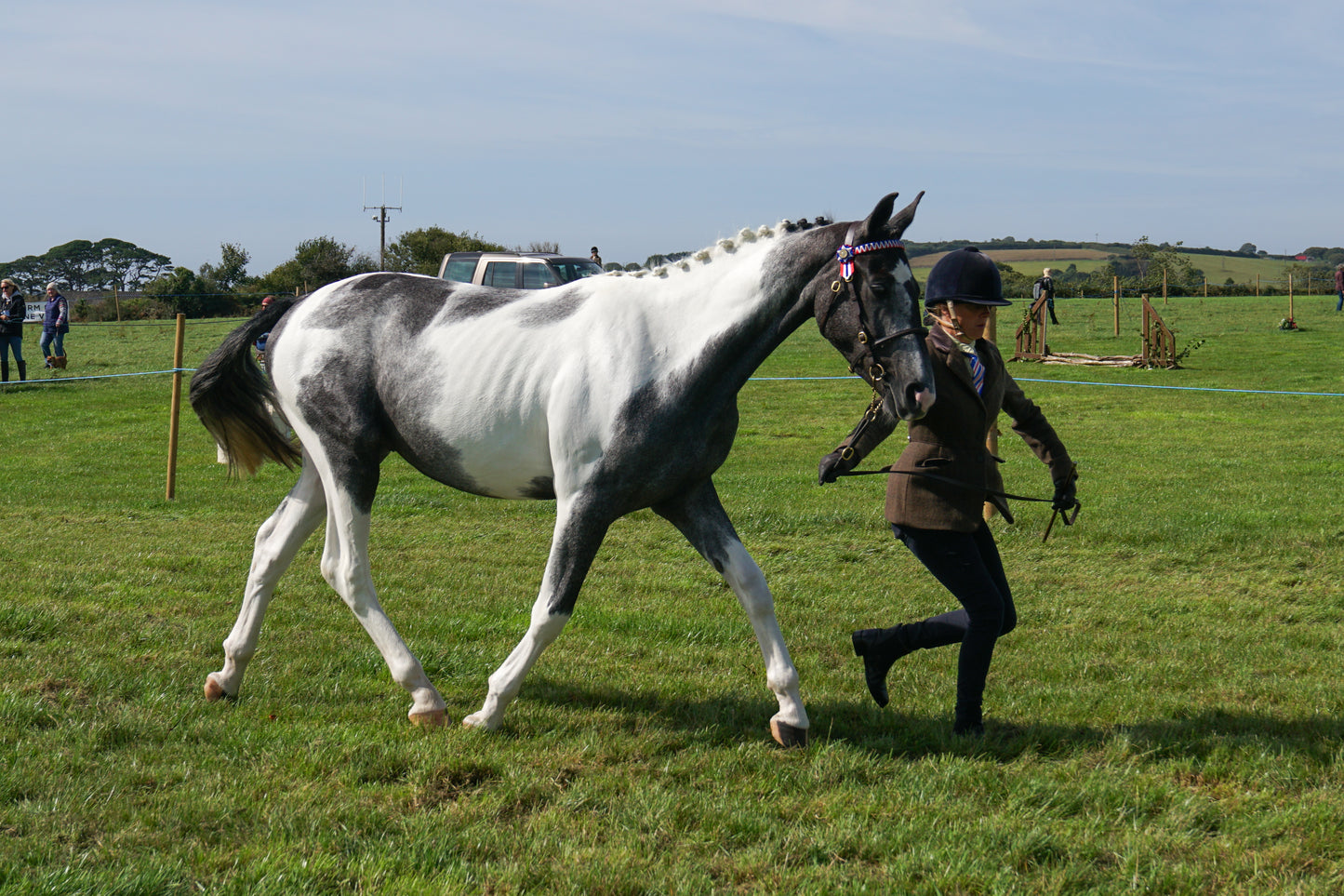 lanlivery show in hand part 2