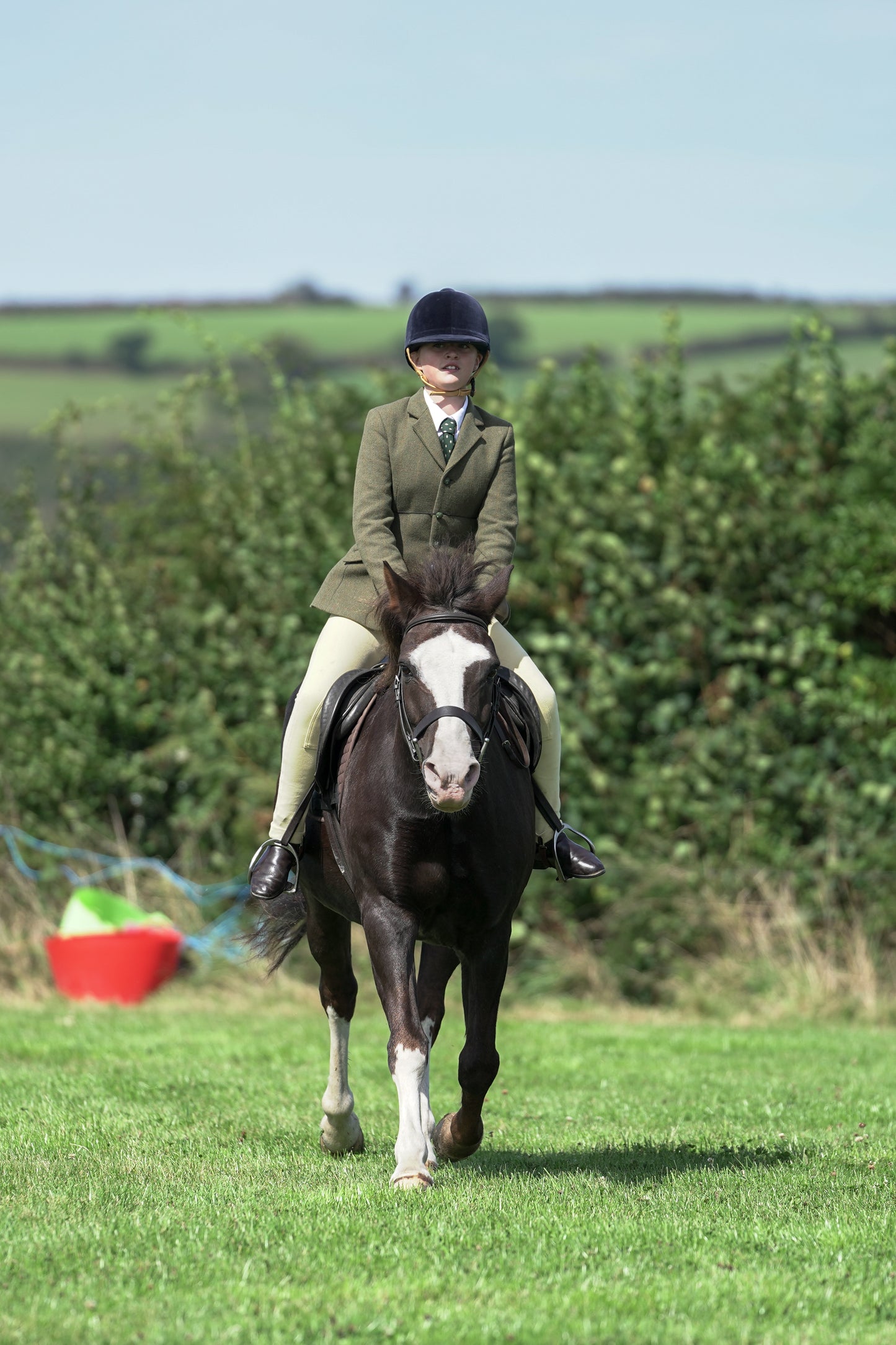 lanlivery show jumping rings part 2