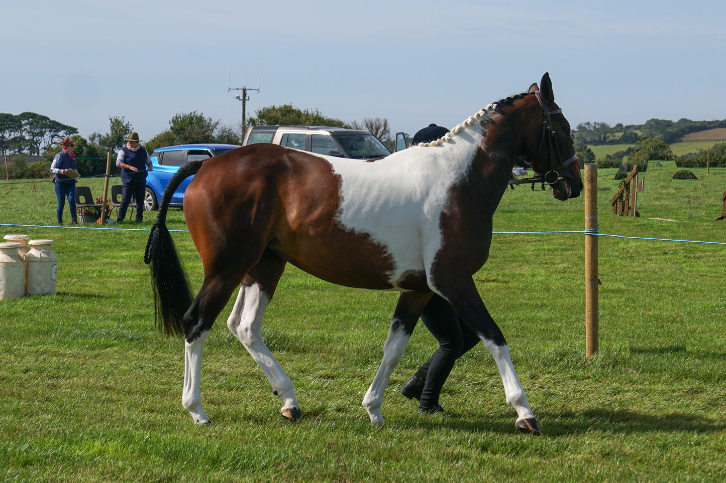 lanlivery show in hand part 2