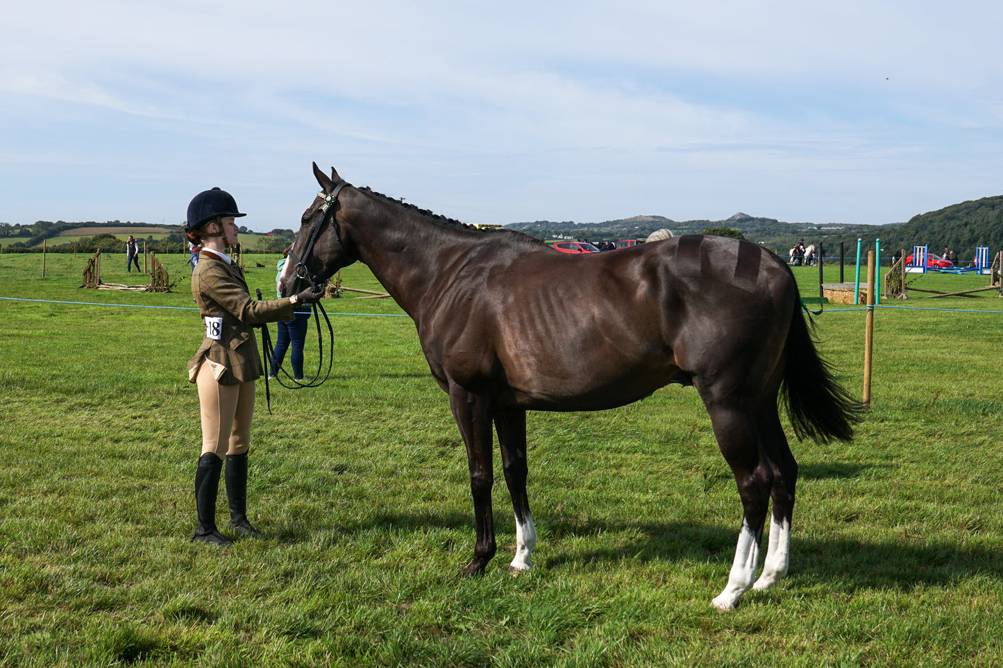 lanlivery show in hand part 2