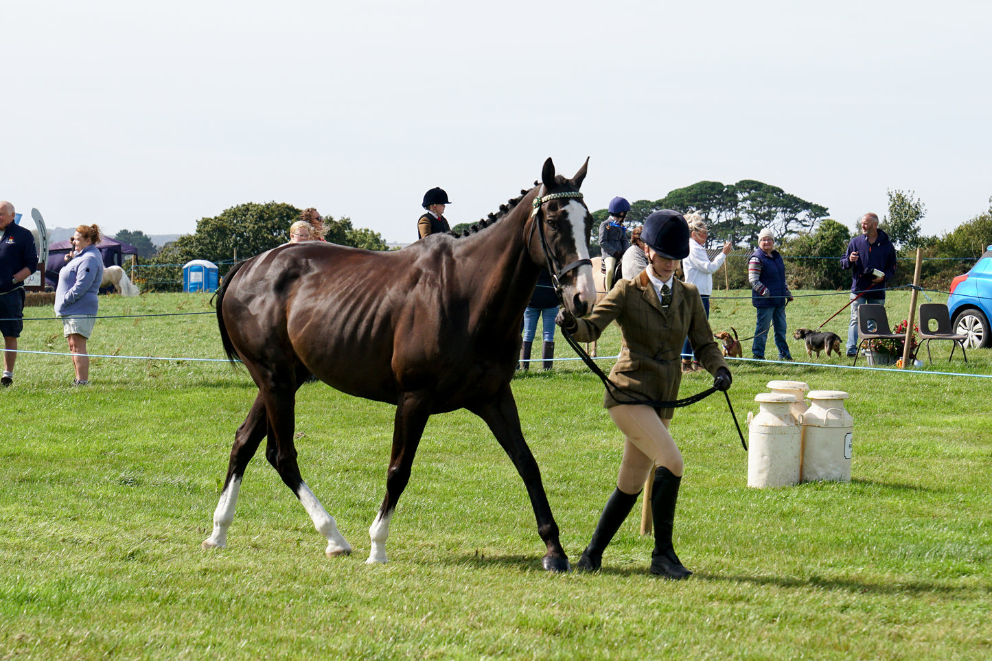 lanlivery show in hand part 2