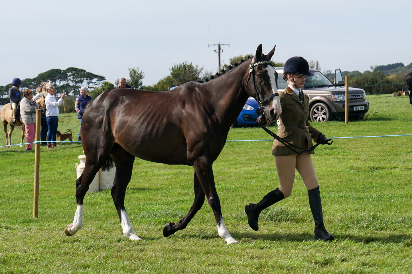 lanlivery show in hand part 2