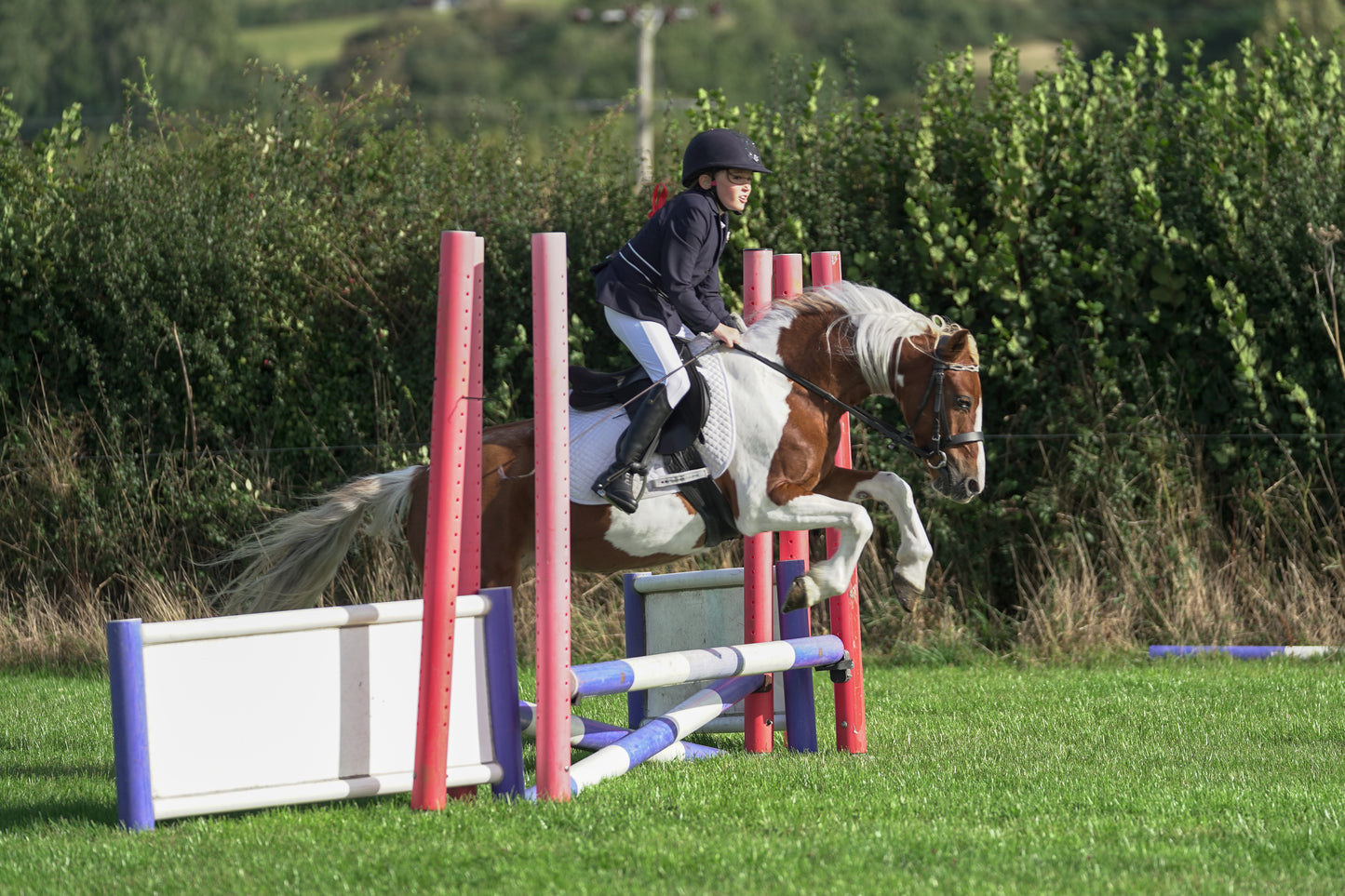 lanlivery show jumping rings part 1