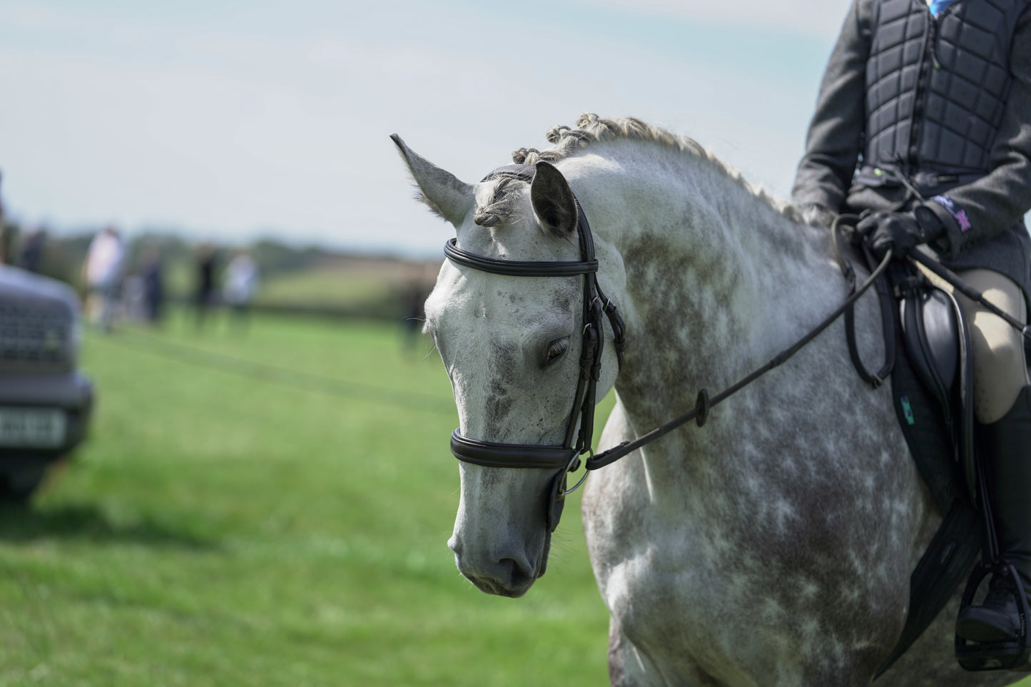 lanlivery show jumping rings part 2