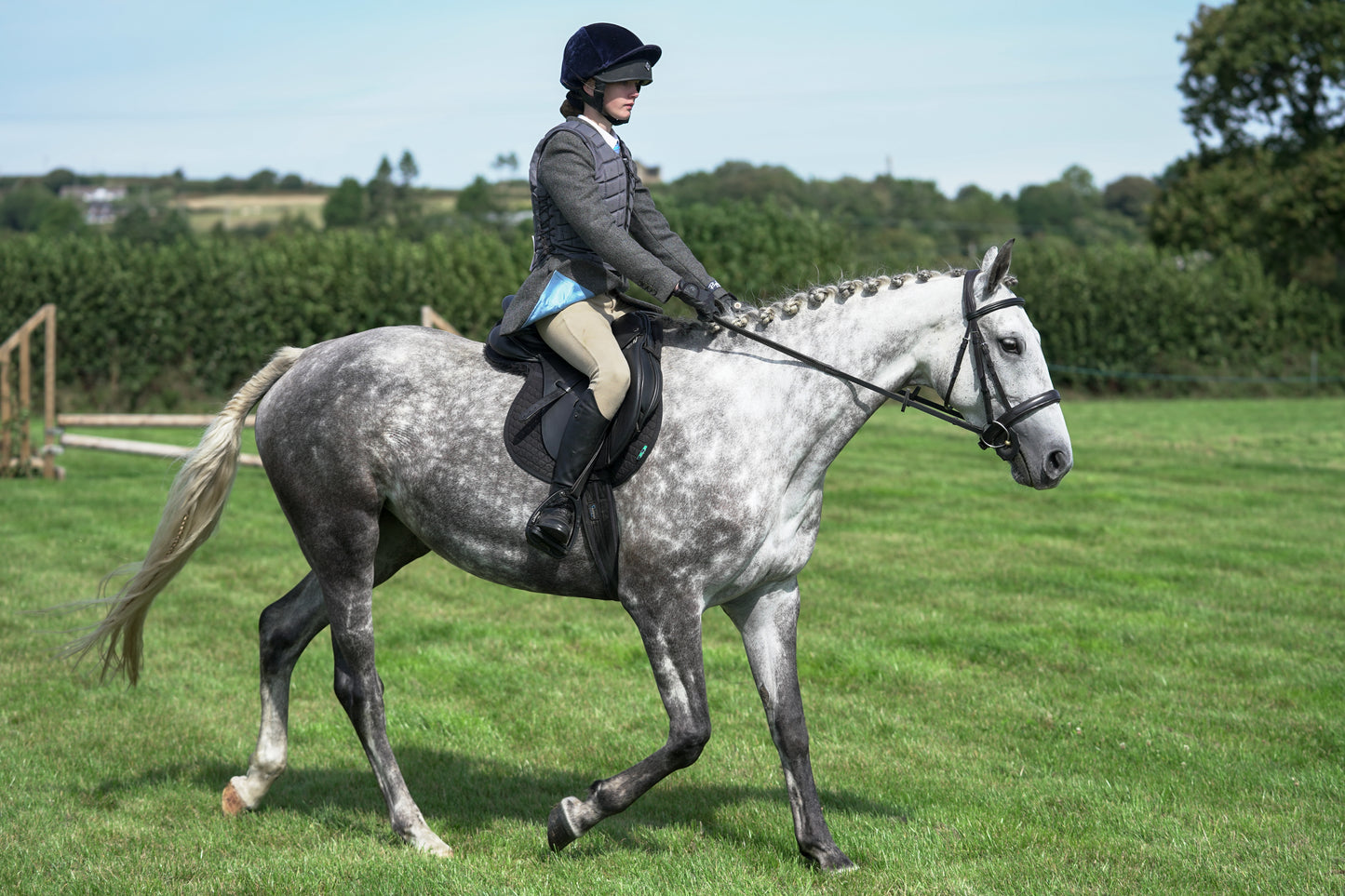 lanlivery show jumping rings part 2