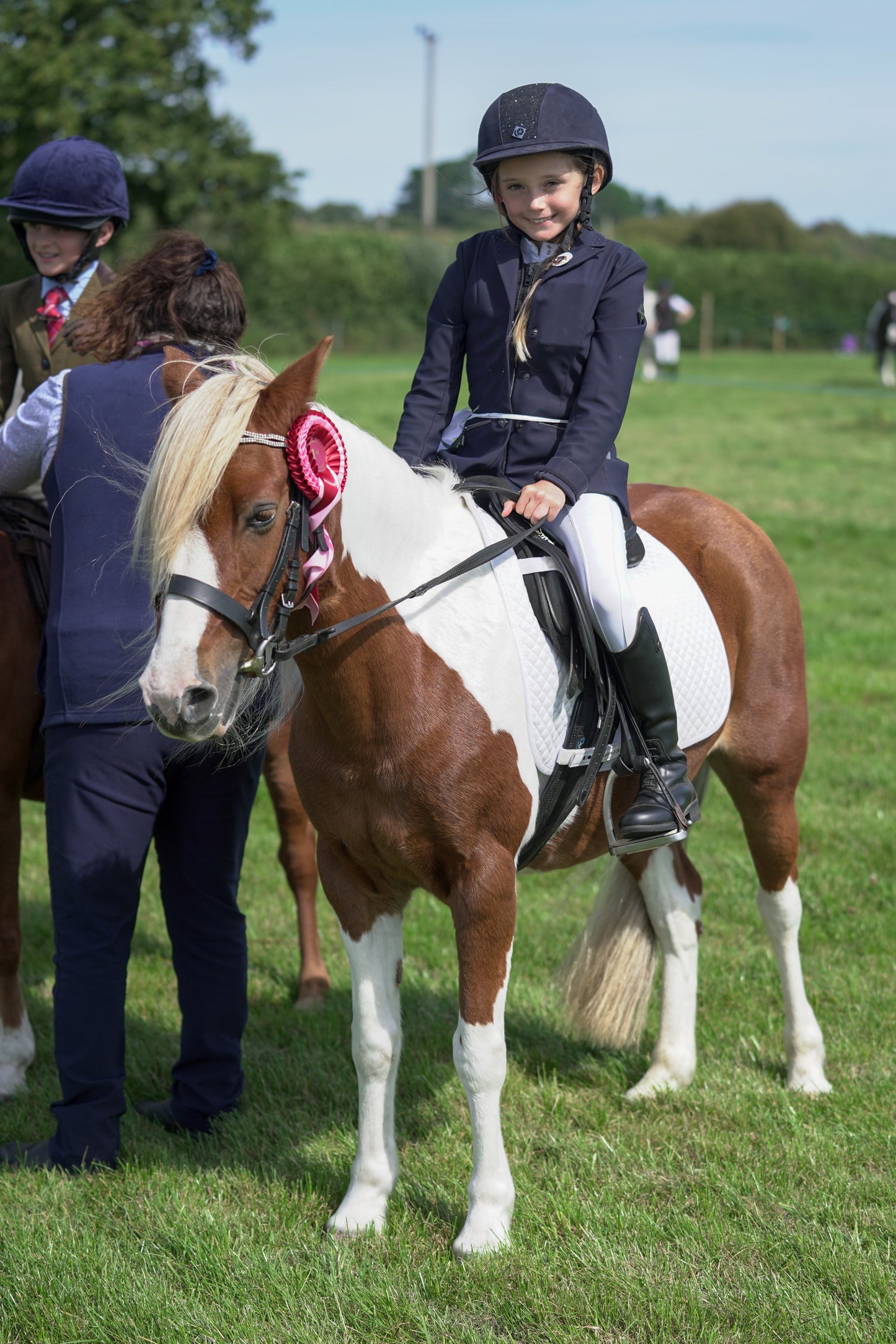 lanlivery show jumping rings part 2