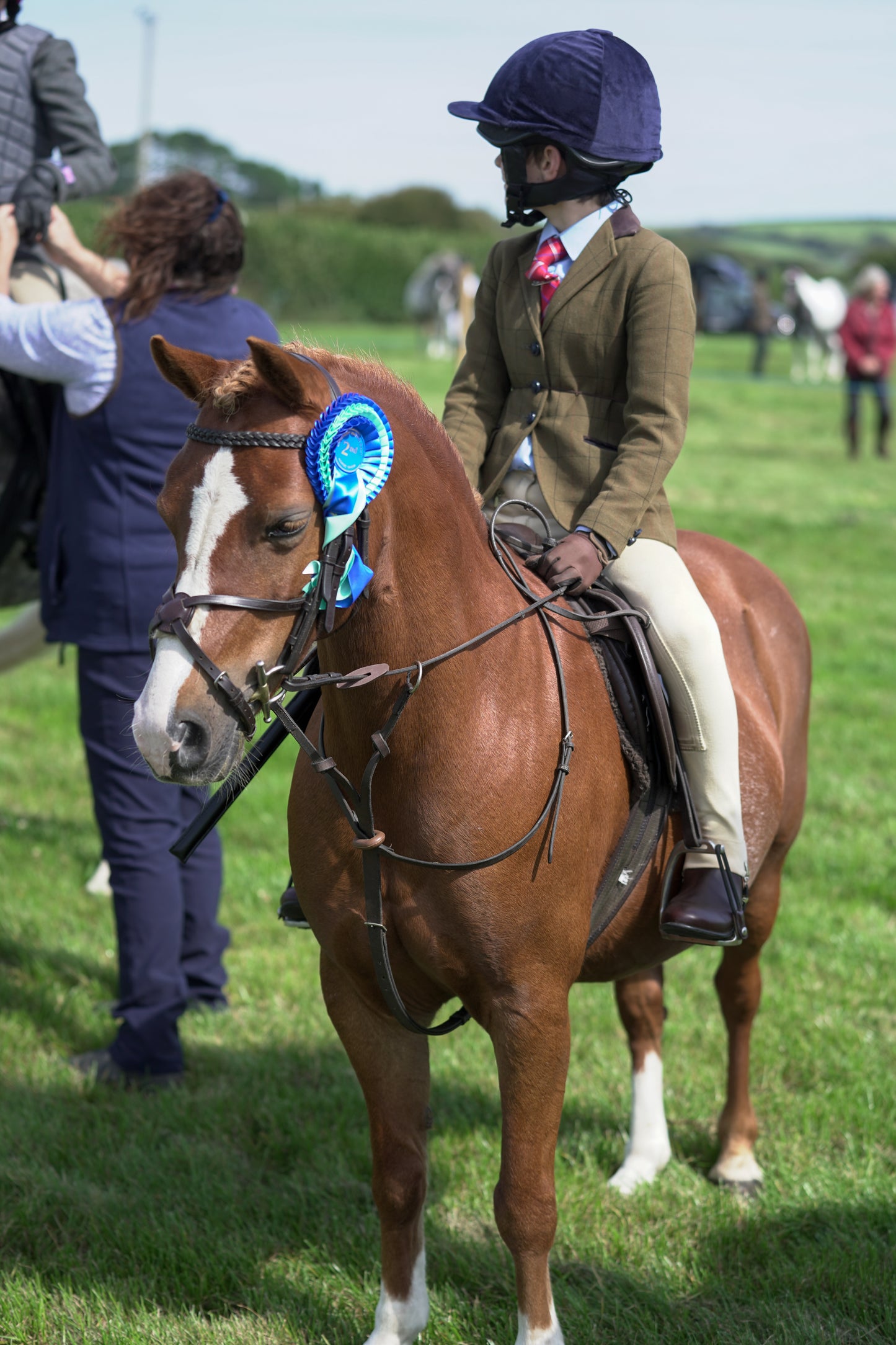 lanlivery show jumping rings part 2