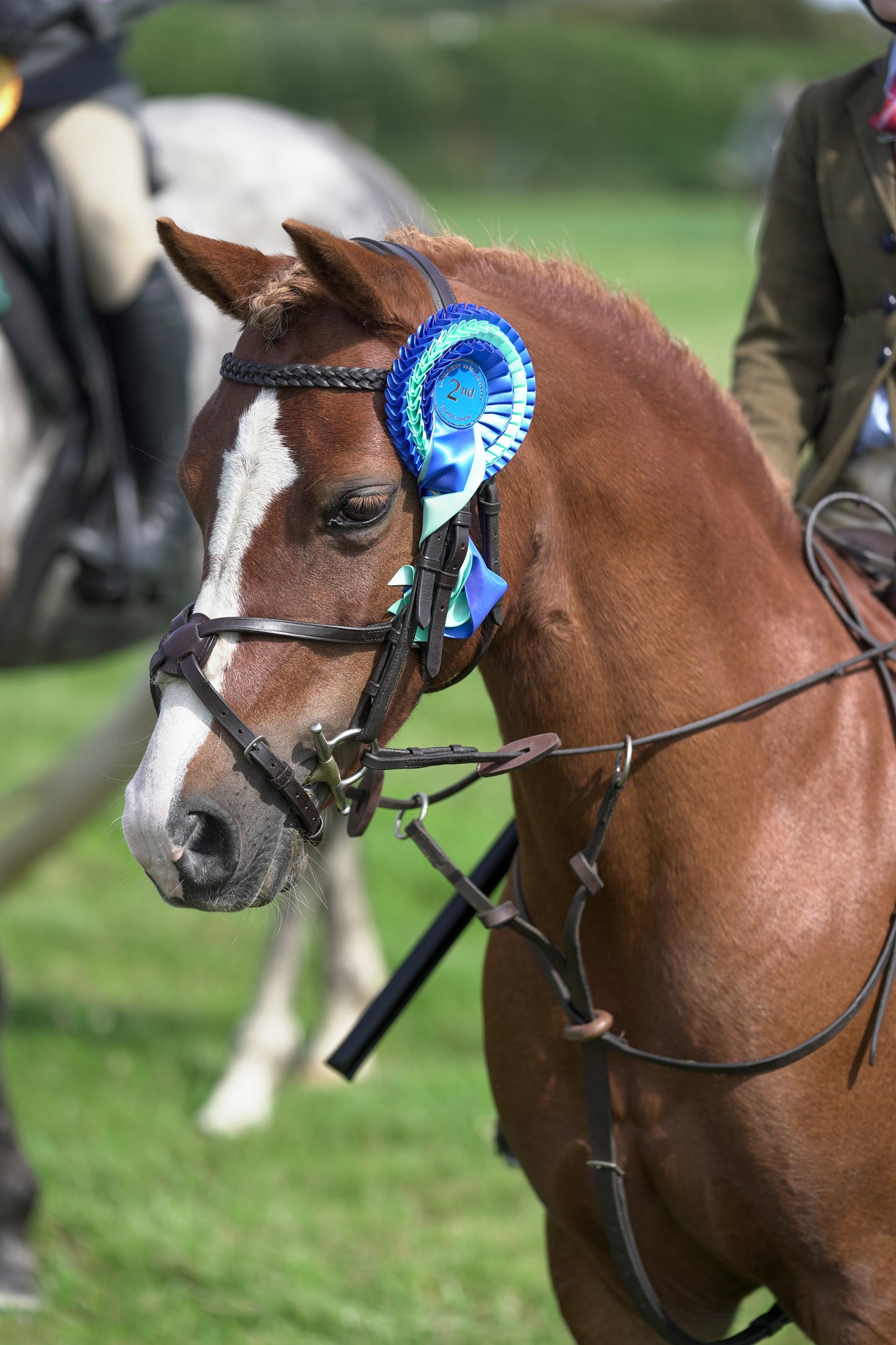 lanlivery show jumping rings part 2