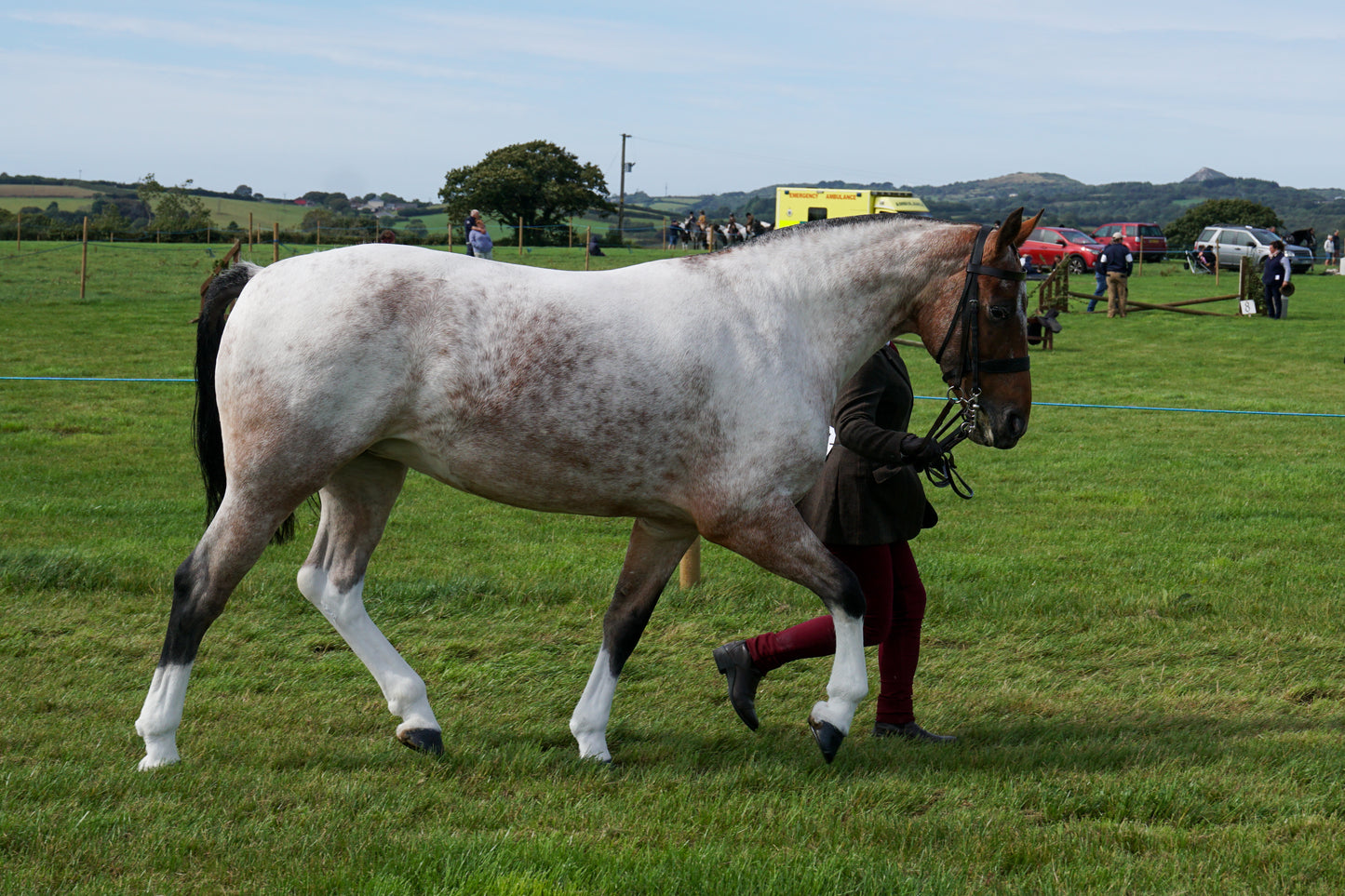 lanlivery show in hand part 2