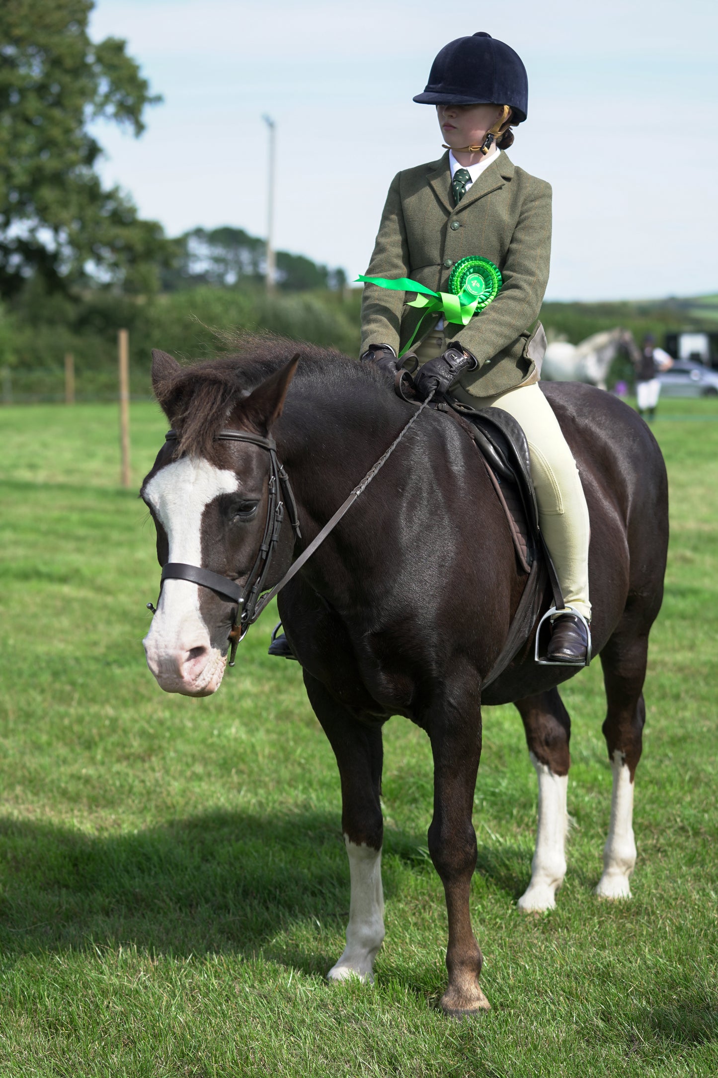 lanlivery show jumping rings part 2