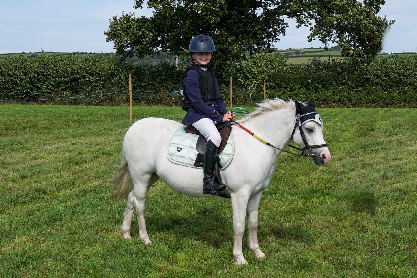 lanlivery show in hand part 2