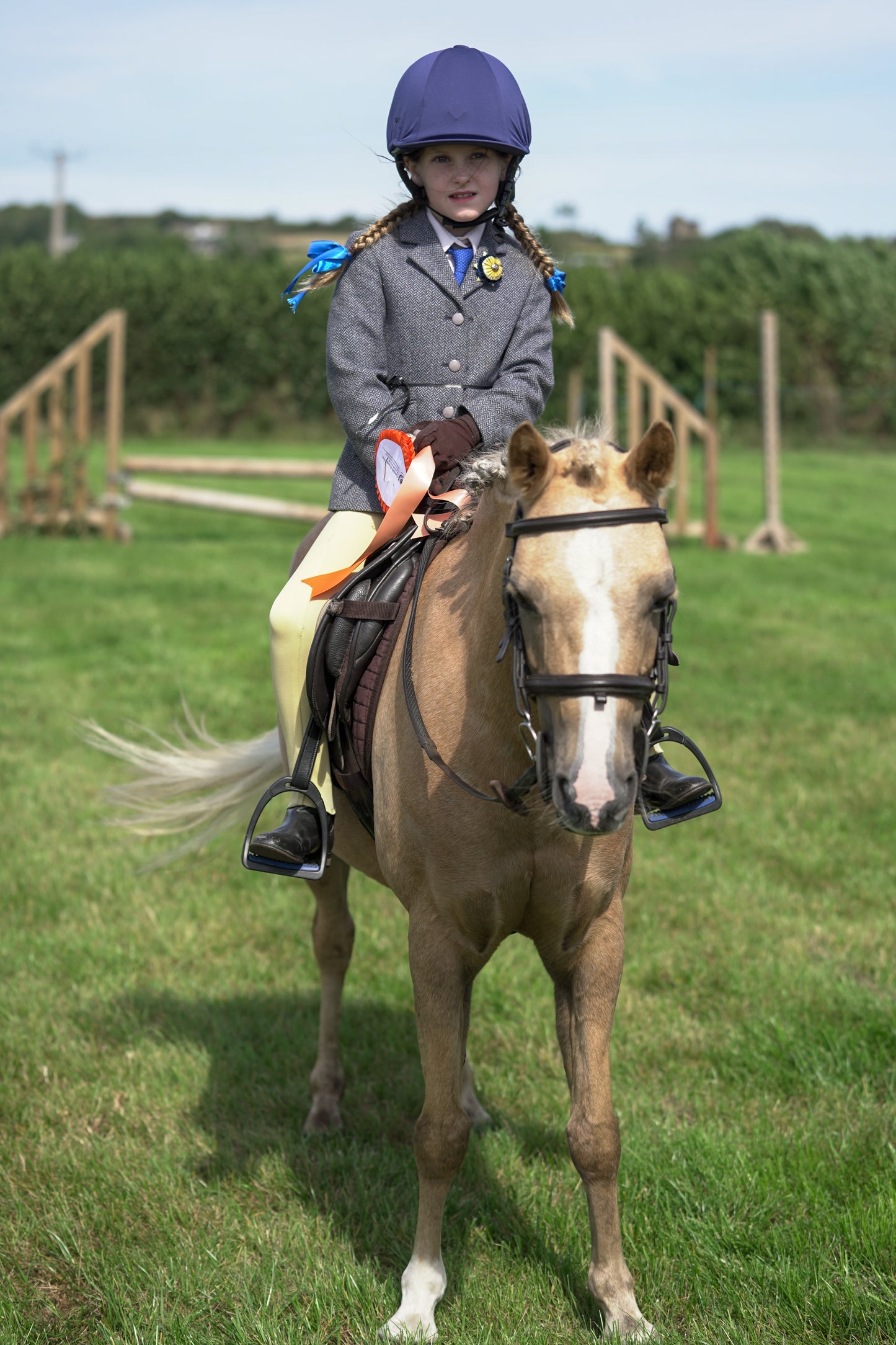 lanlivery show jumping rings part 2