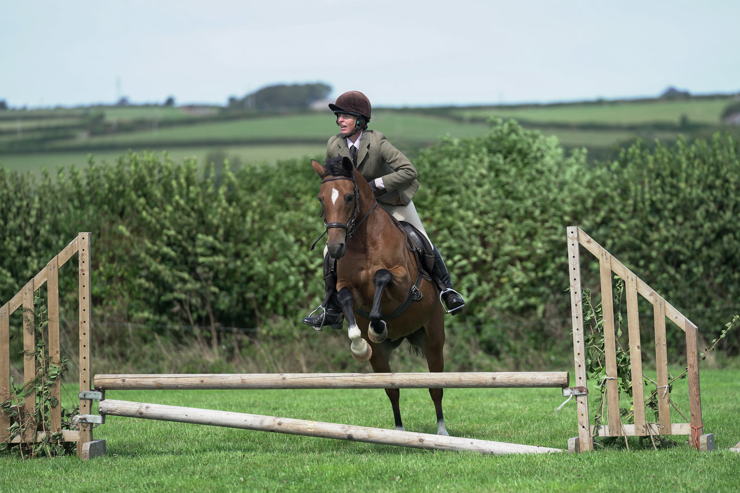lanlivery show jumping rings part 2