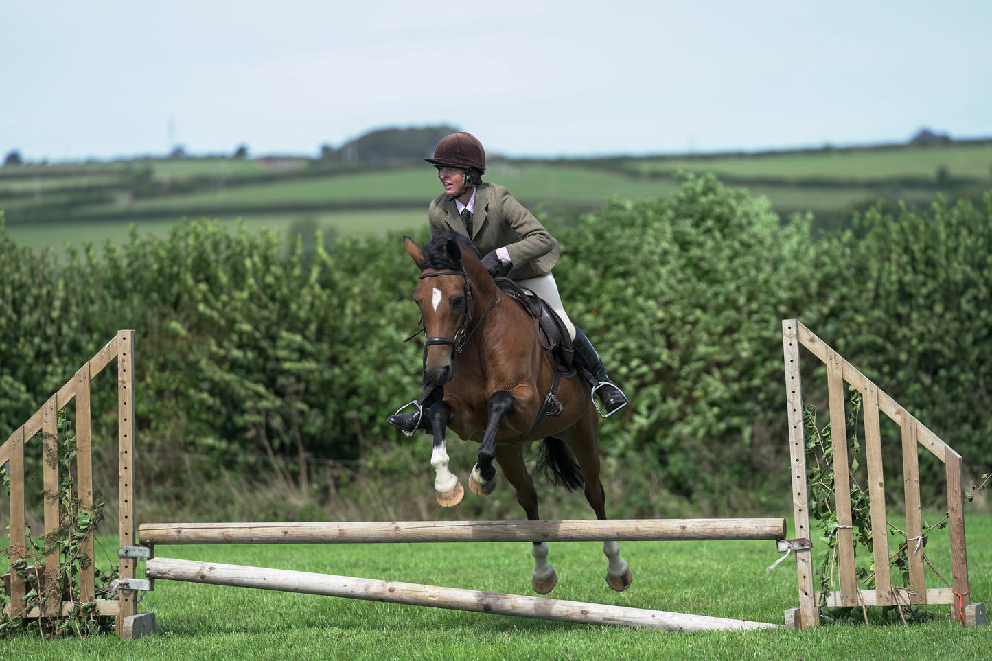 lanlivery show jumping rings part 2
