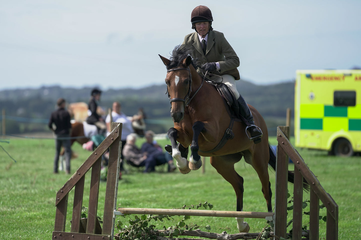 lanlivery show jumping rings part 2