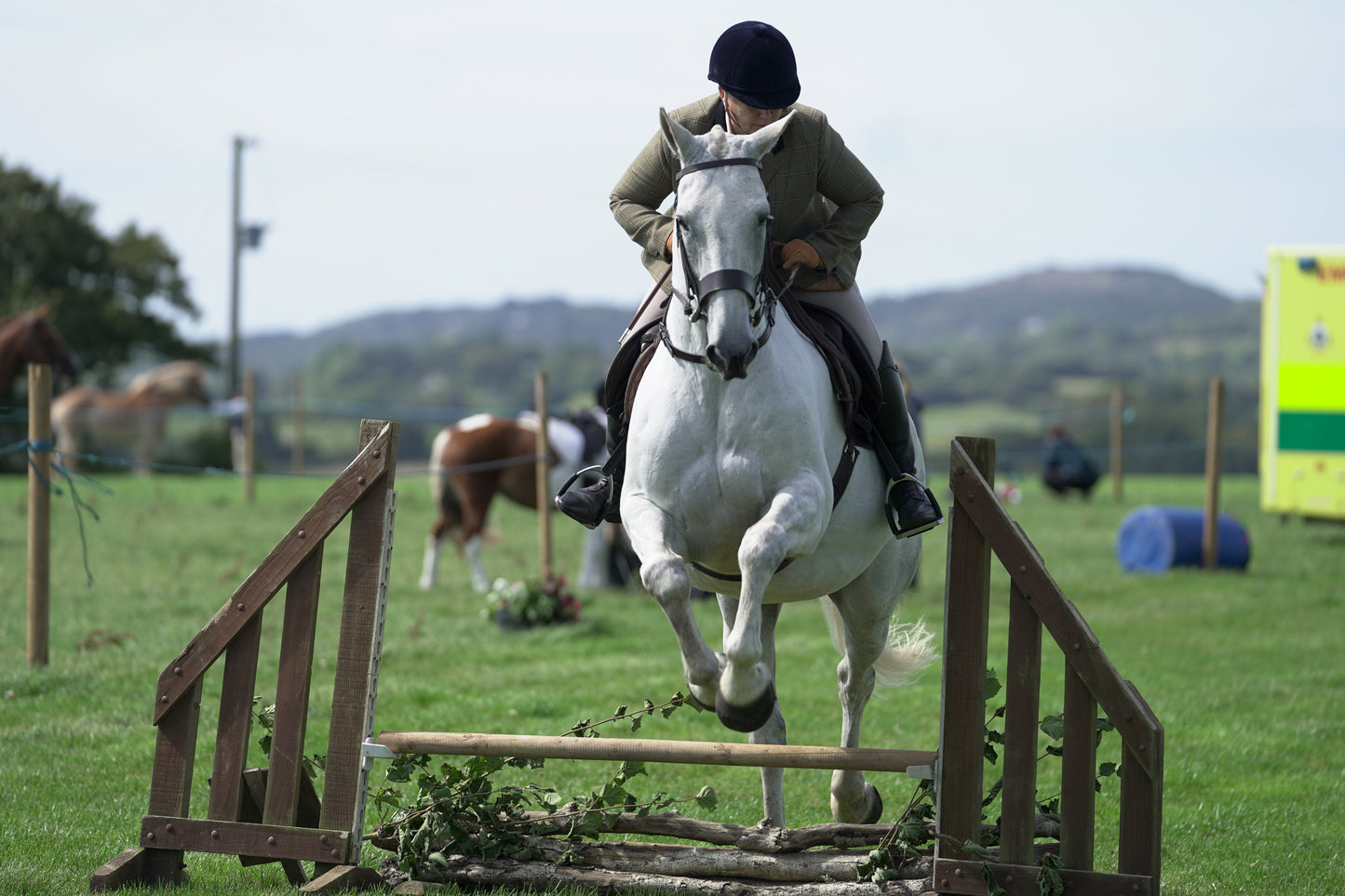 lanlivery show jumping rings part 2