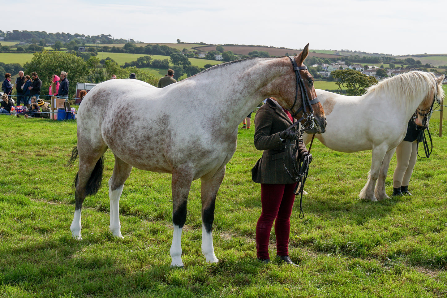 lanlivery show in hand part 2