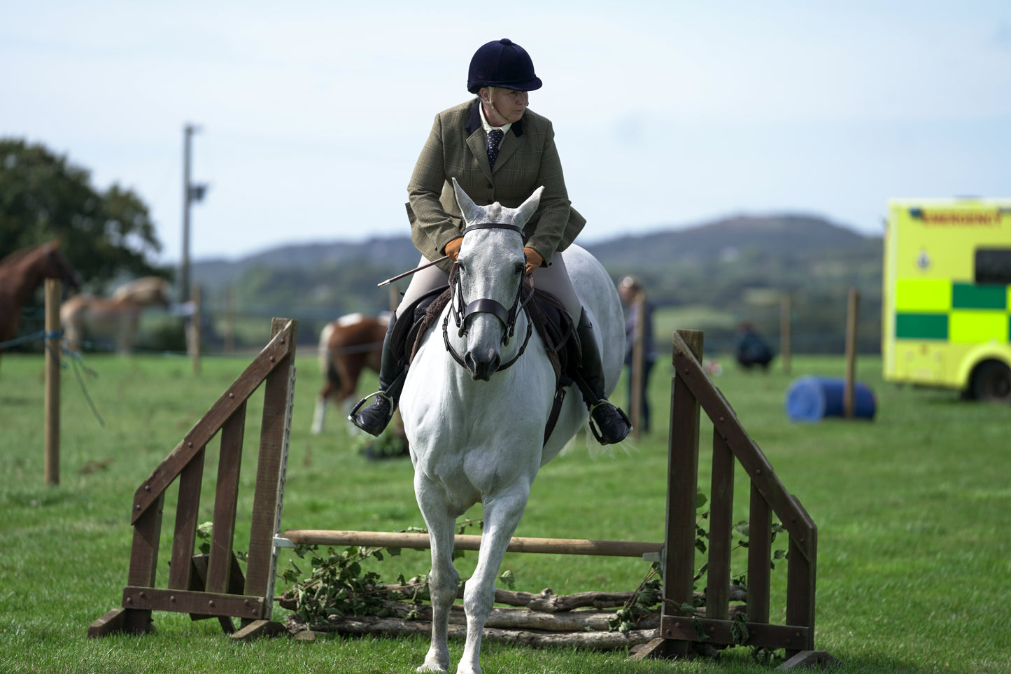lanlivery show jumping rings part 2