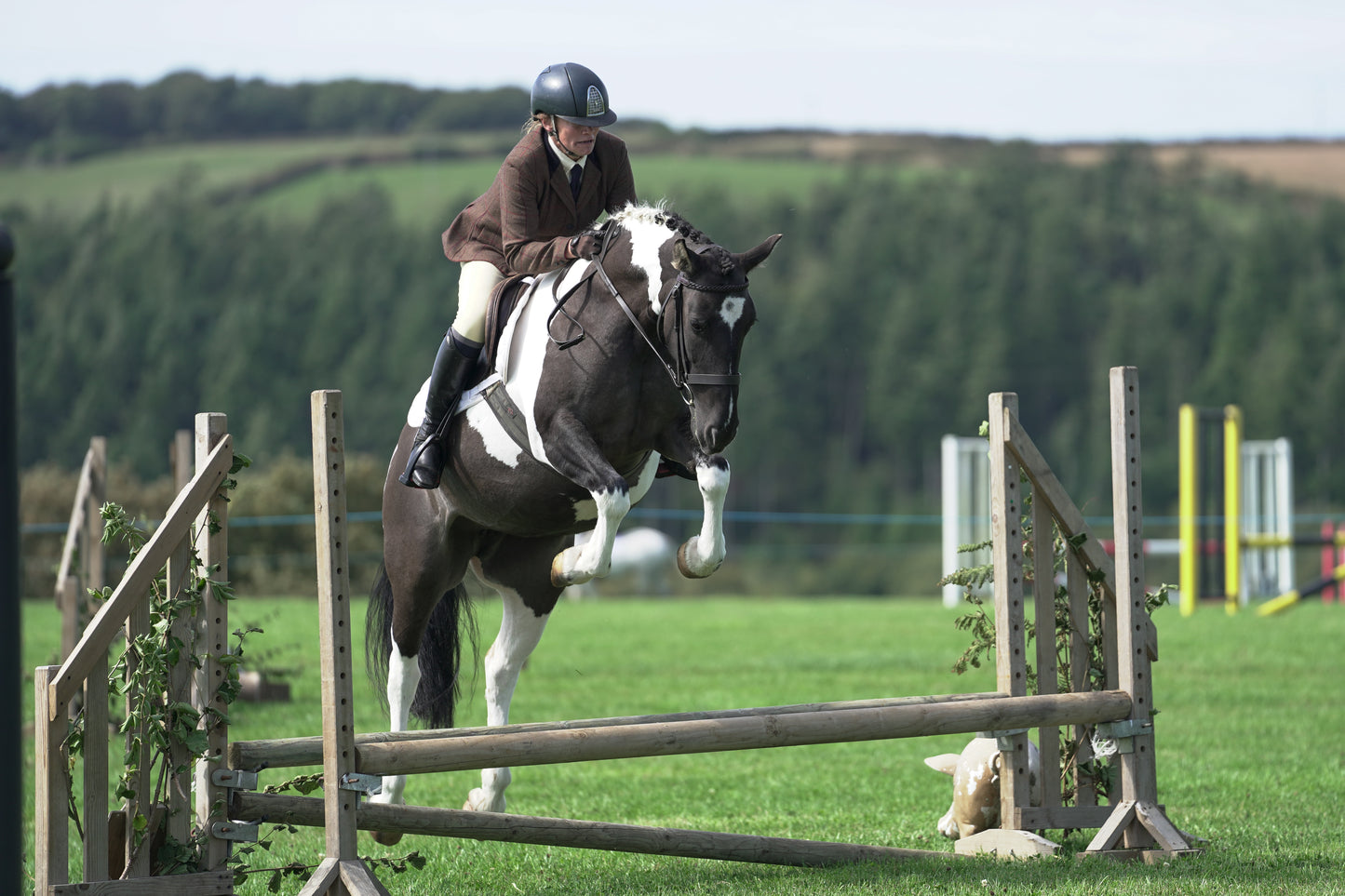 lanlivery show jumping rings part 2