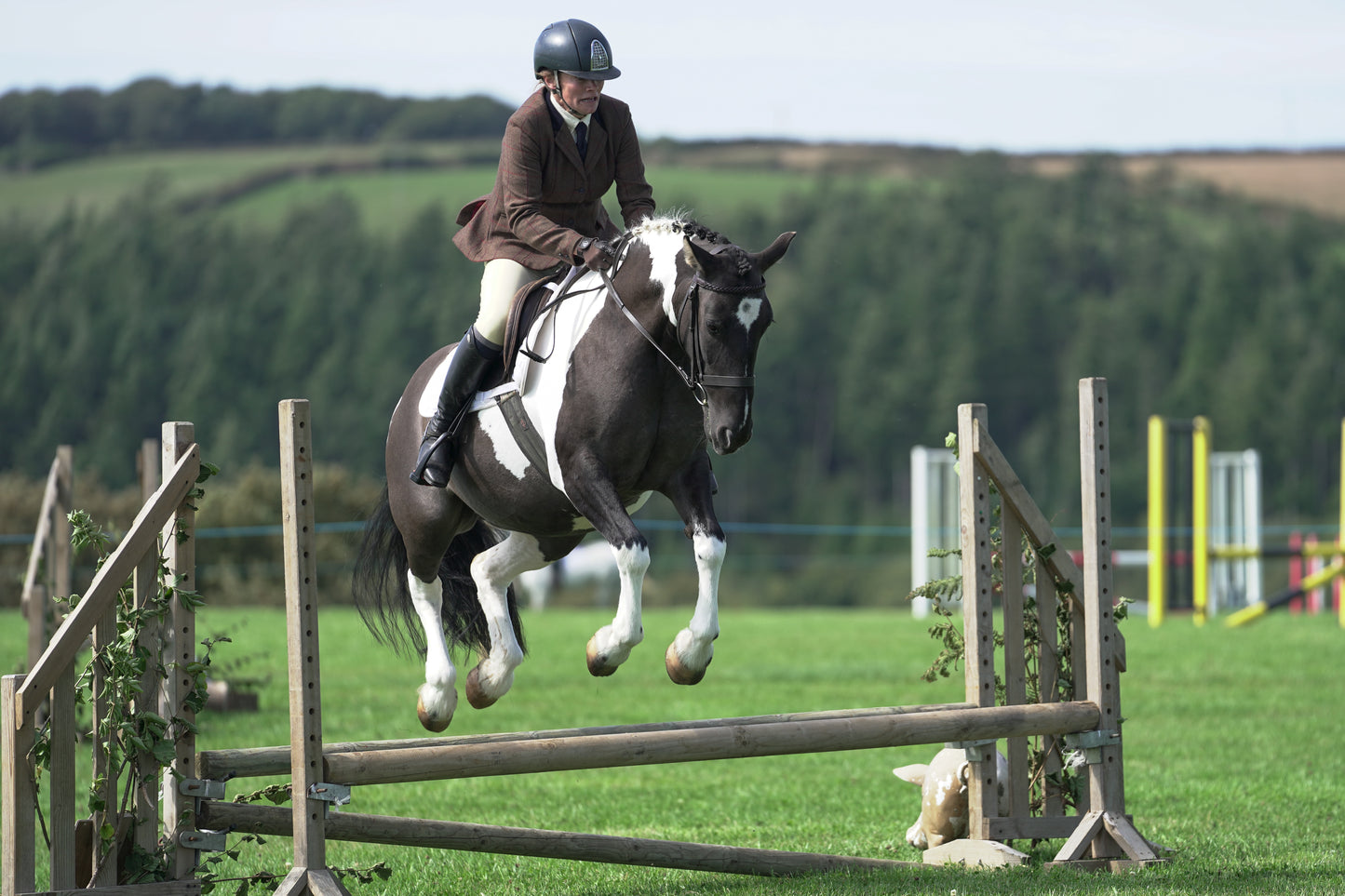 lanlivery show jumping rings part 2