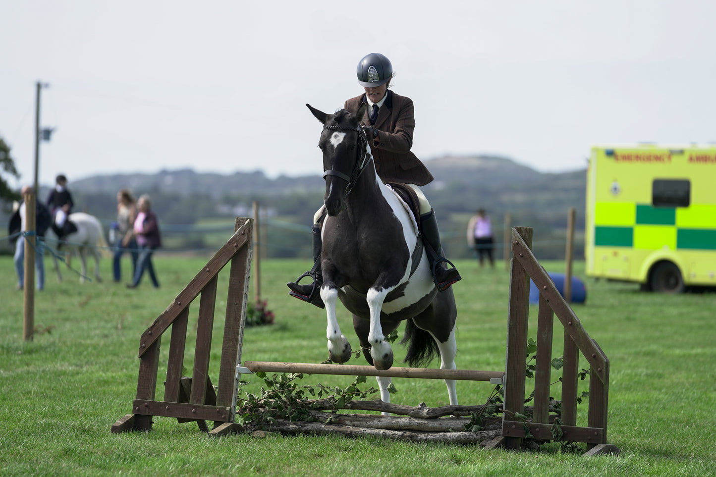 lanlivery show jumping rings part 2