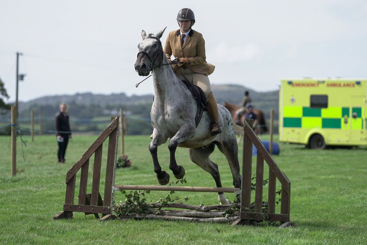 lanlivery show jumping rings part 2