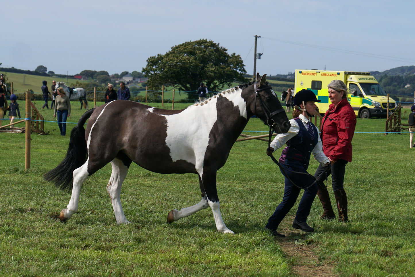 lanlivery show in hand part 2