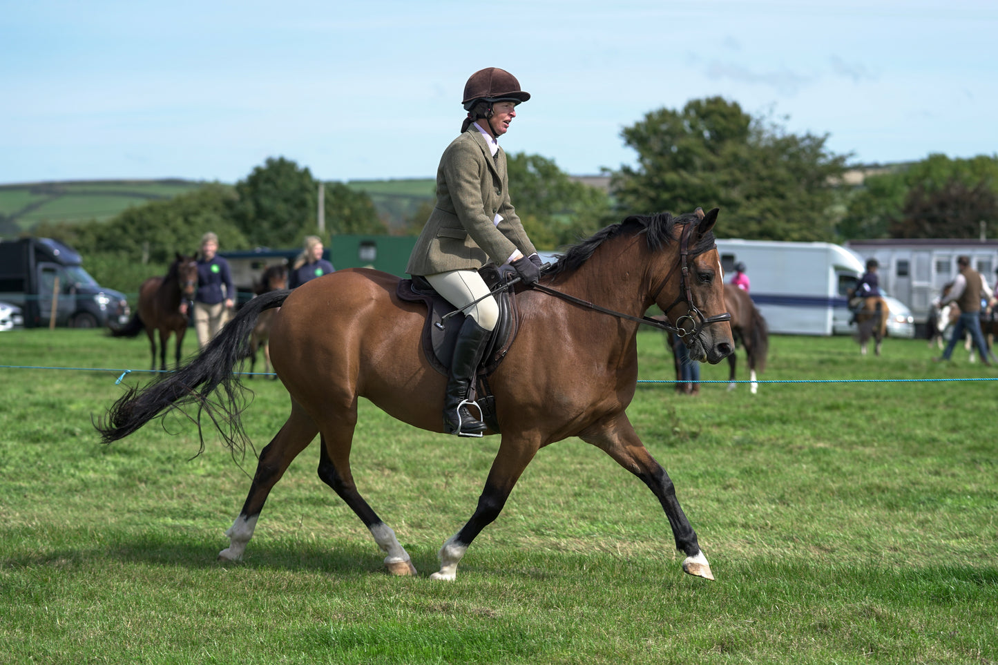lanlivery show jumping rings part 2