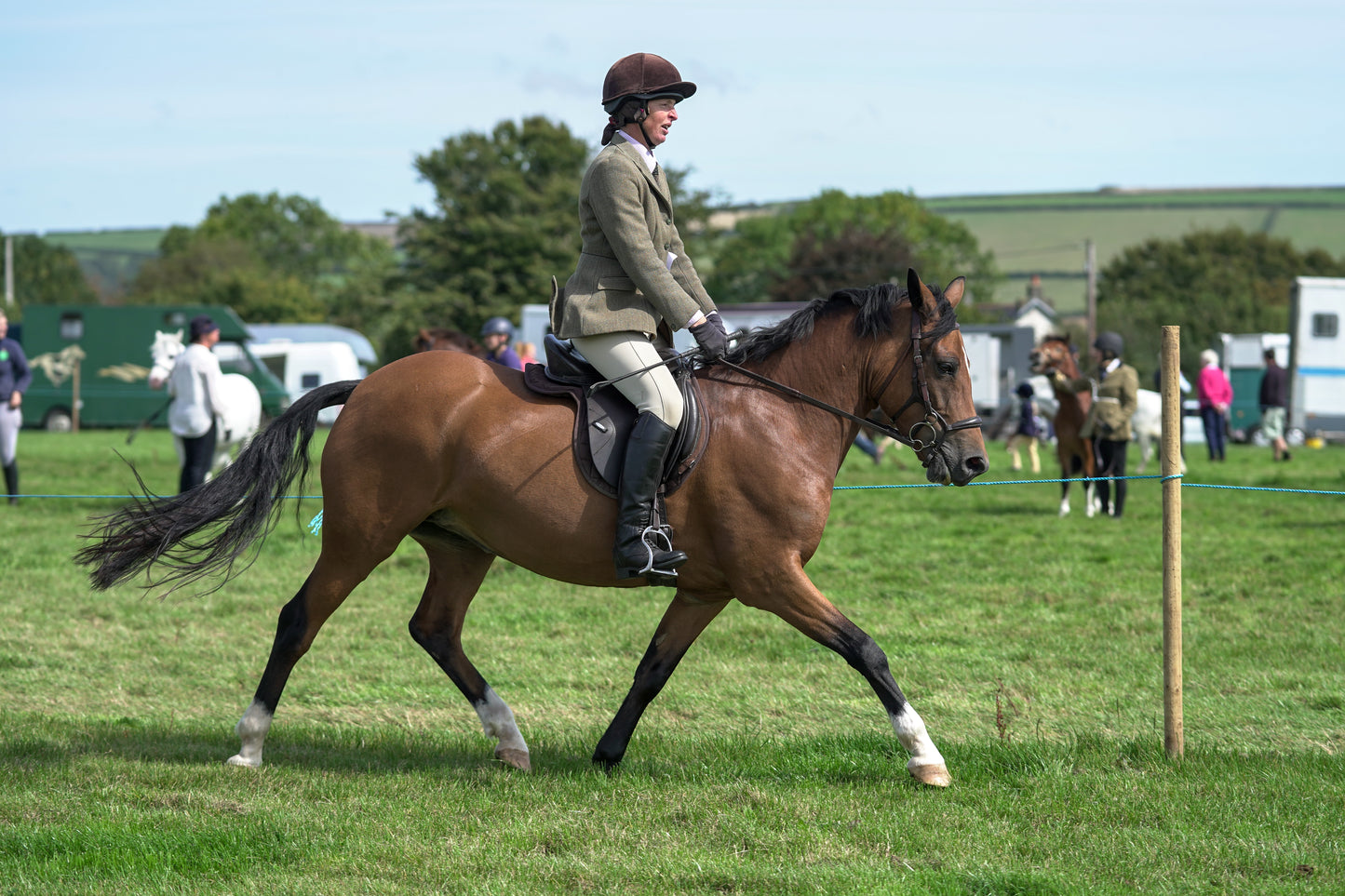 lanlivery show jumping rings part 2