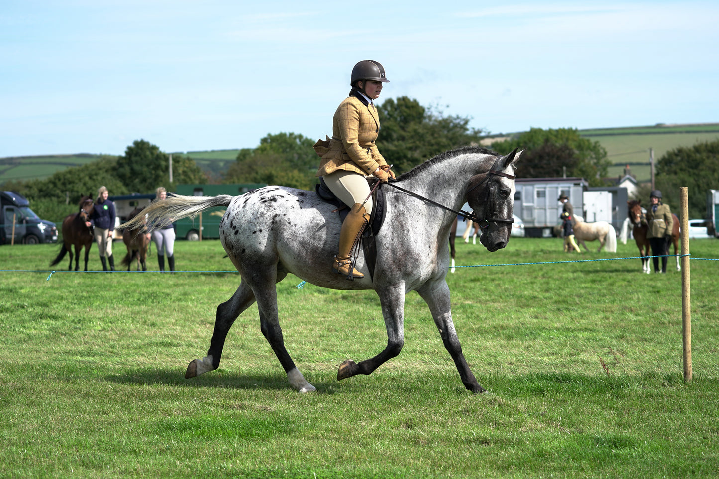 lanlivery show jumping rings part 2