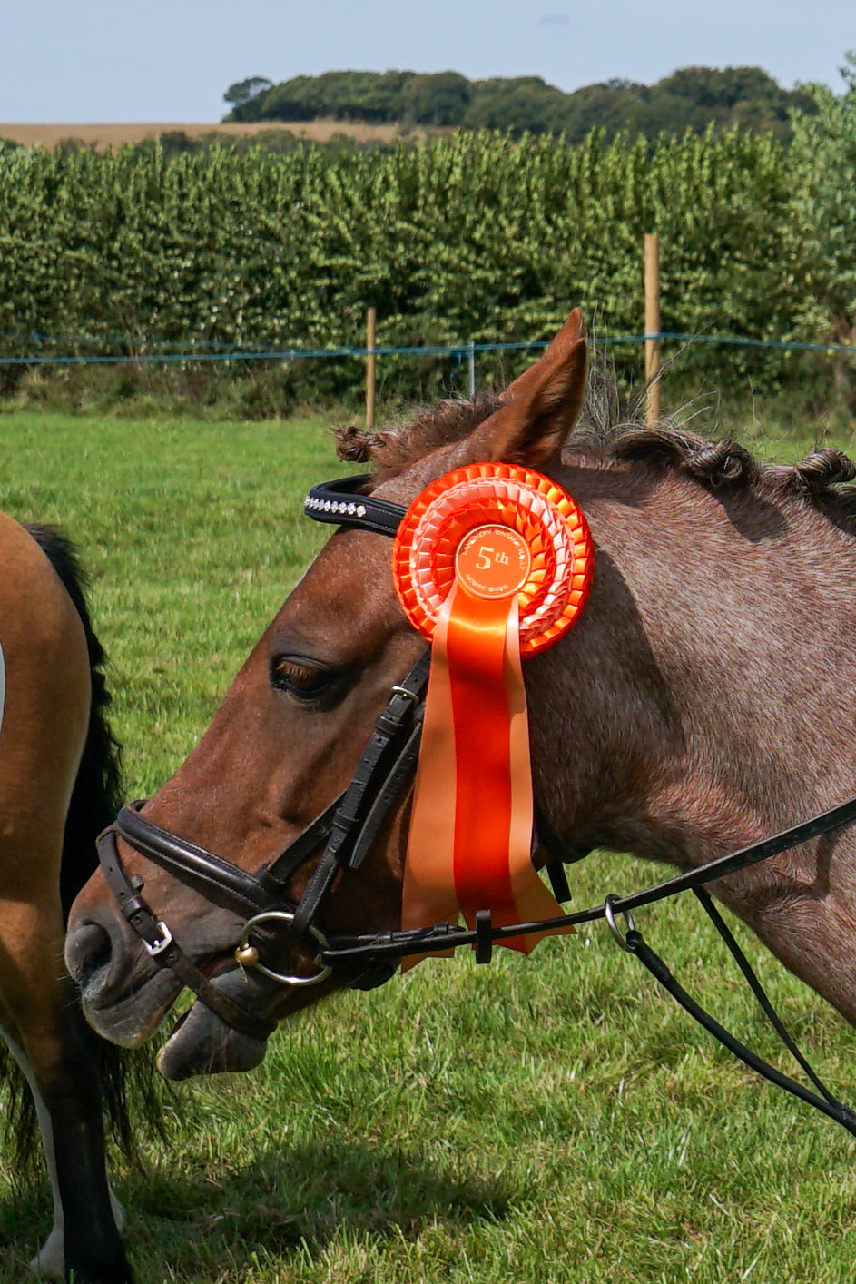 lanlivery show in hand part 2