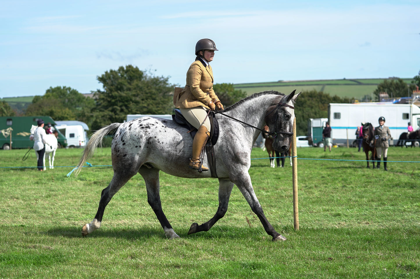 lanlivery show jumping rings part 2