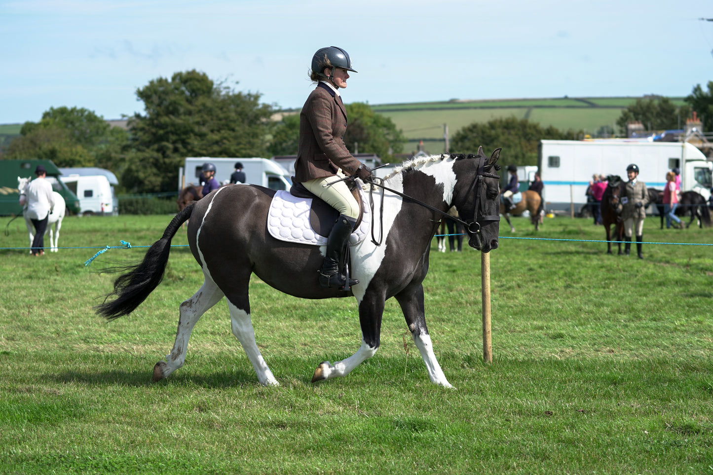 lanlivery show jumping rings part 2