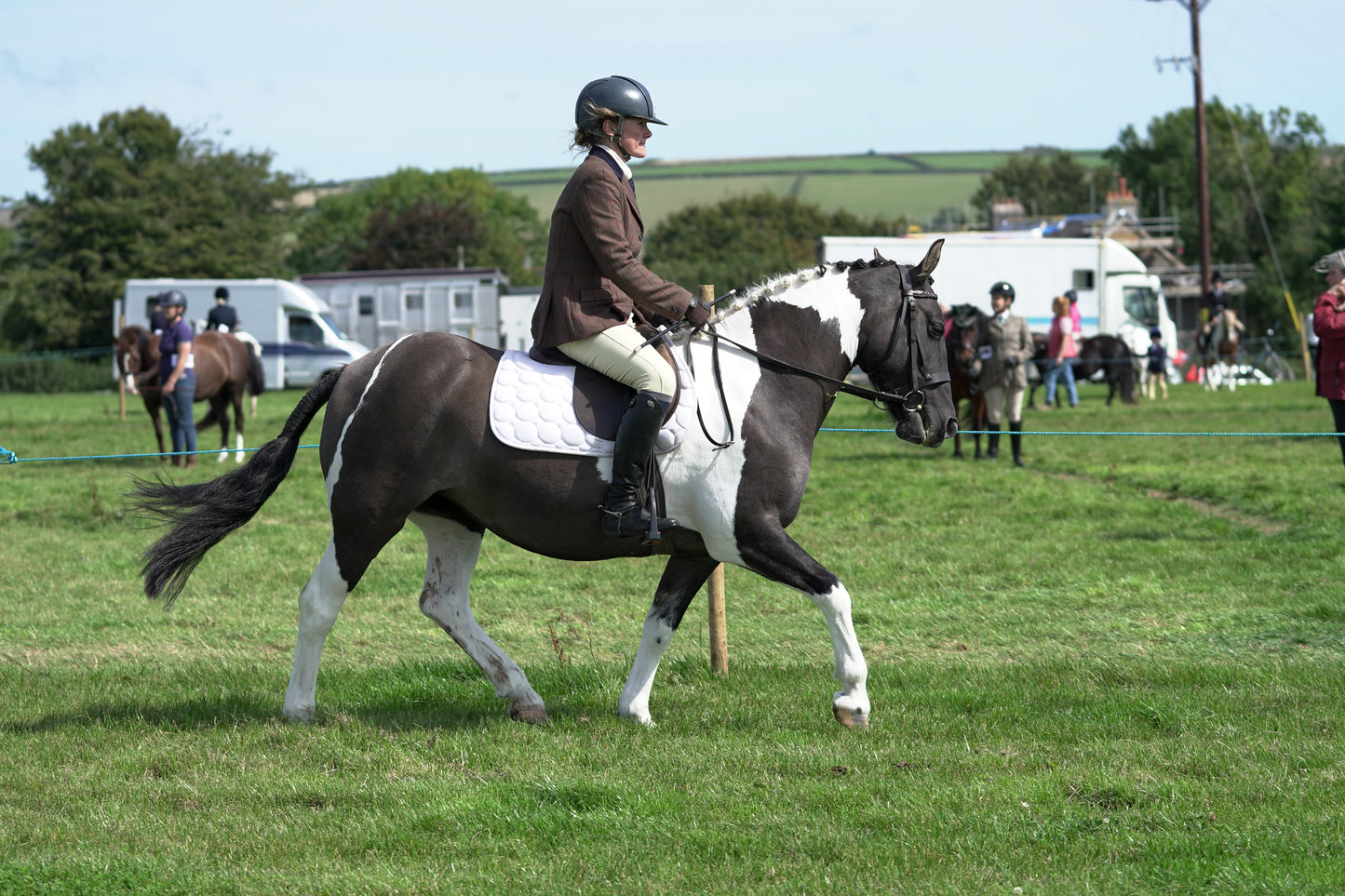 lanlivery show jumping rings part 2