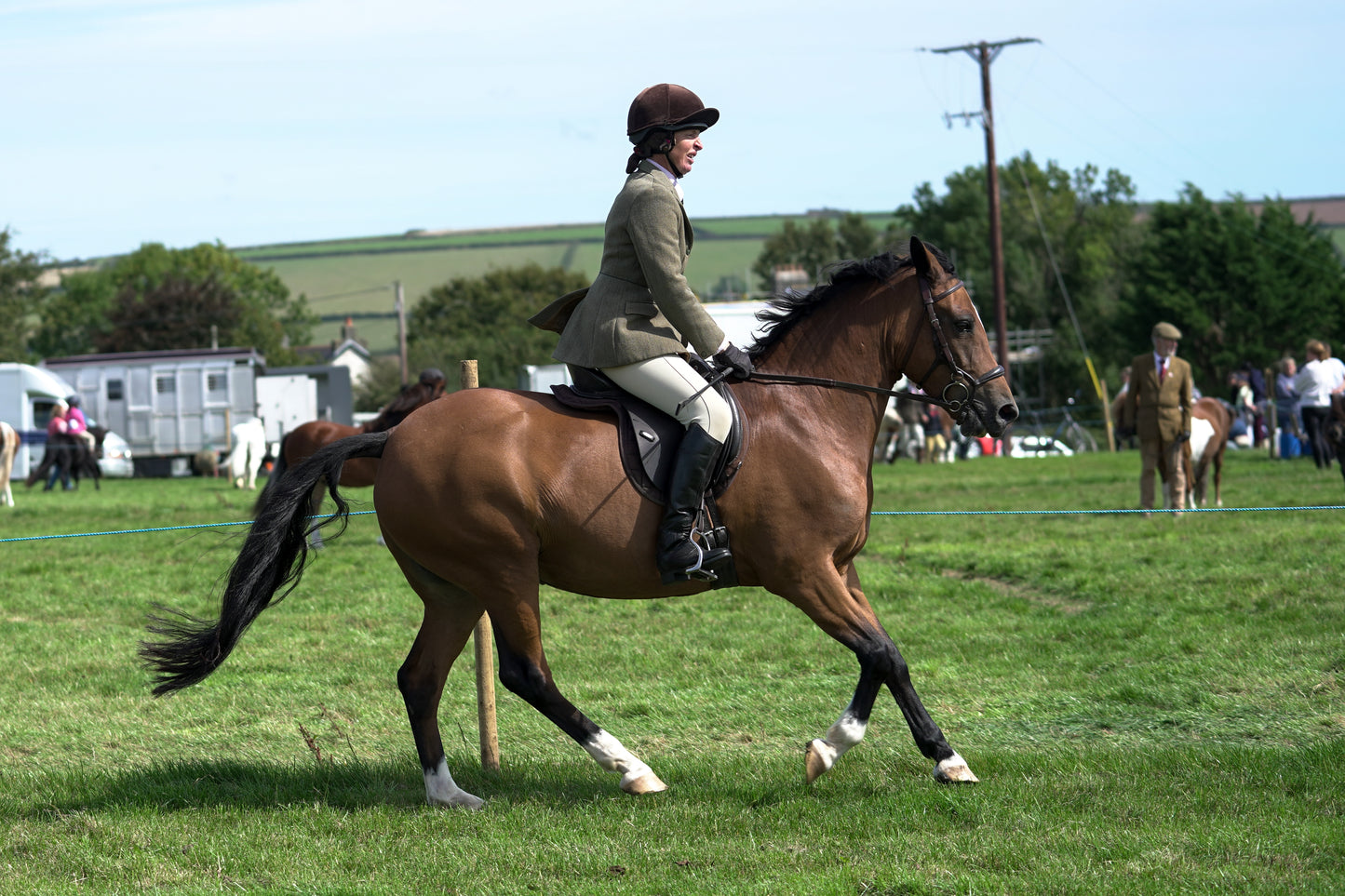 lanlivery show jumping rings part 2