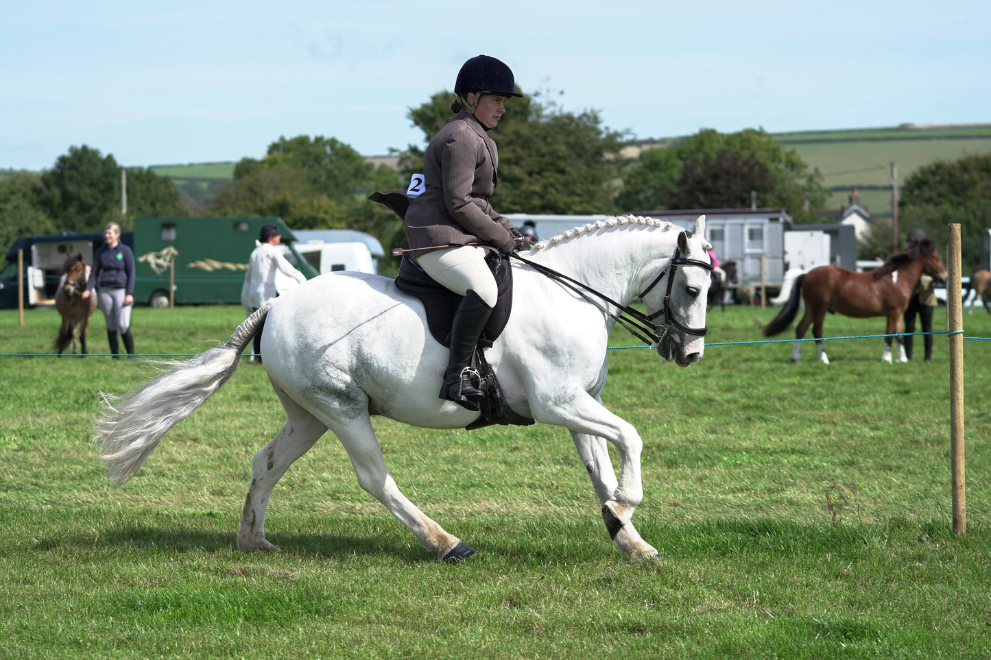 lanlivery show jumping rings part 2
