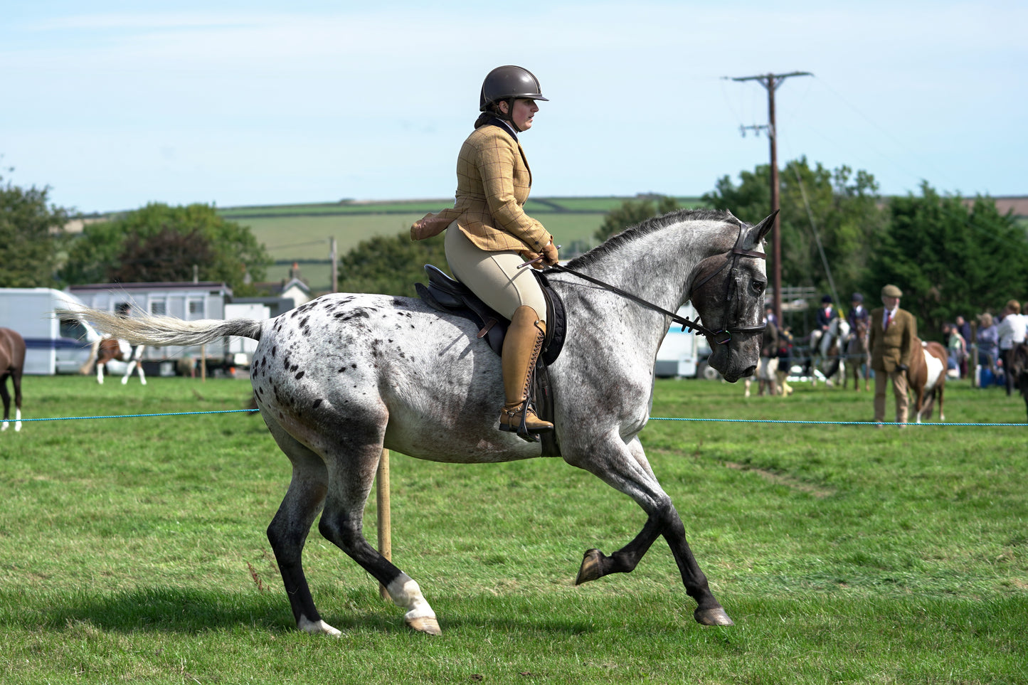 lanlivery show jumping rings part 2
