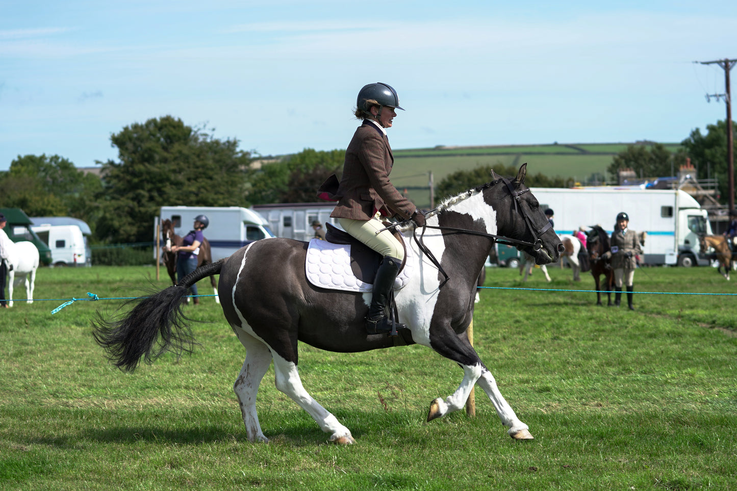 lanlivery show jumping rings part 2