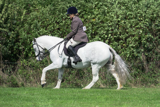 lanlivery show jumping rings part 3