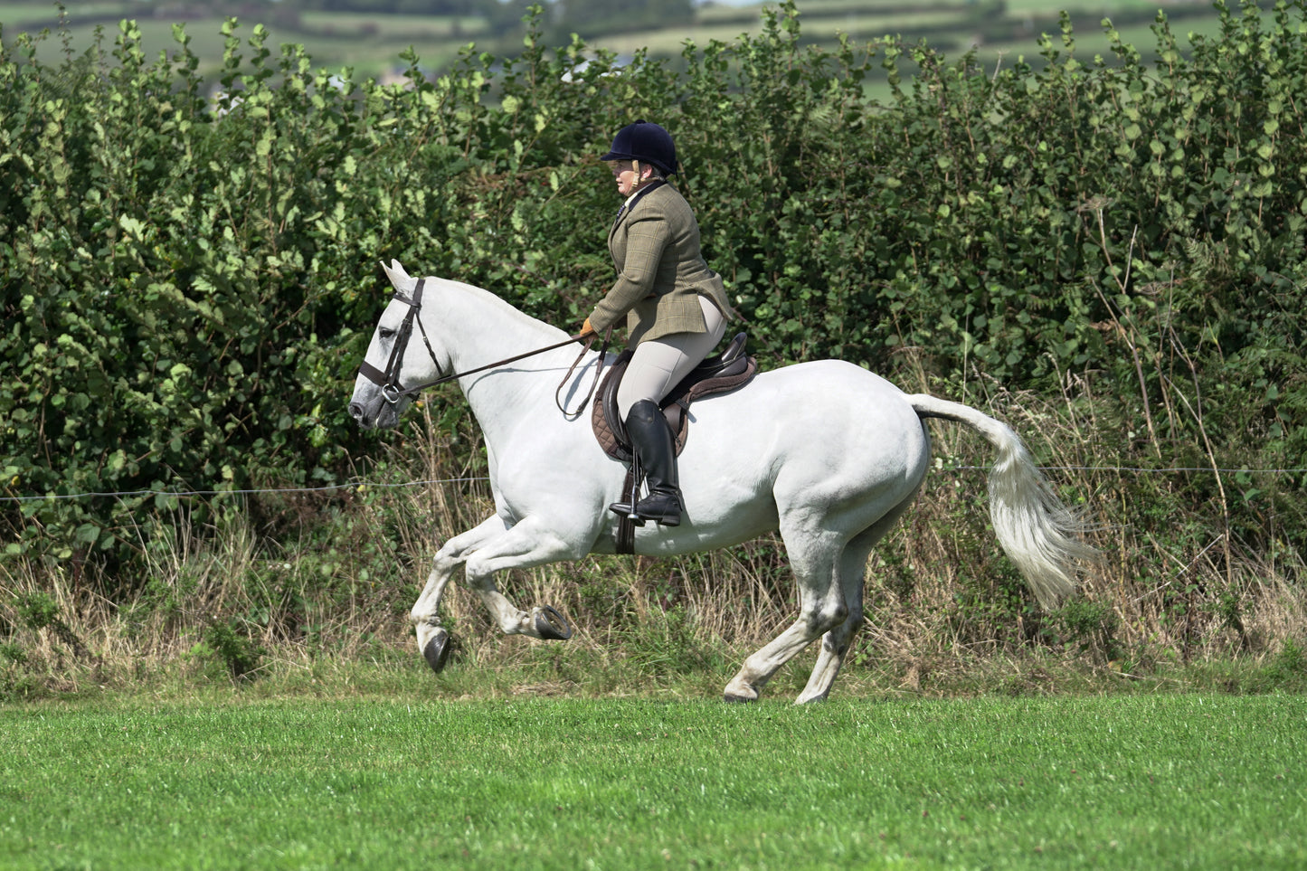 lanlivery show jumping rings part 3
